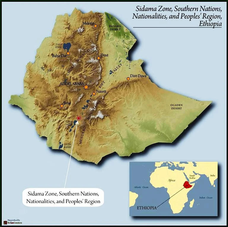 
                  
                    Dobenawicho Primary Cooperative, Ethiopia
                  
                
